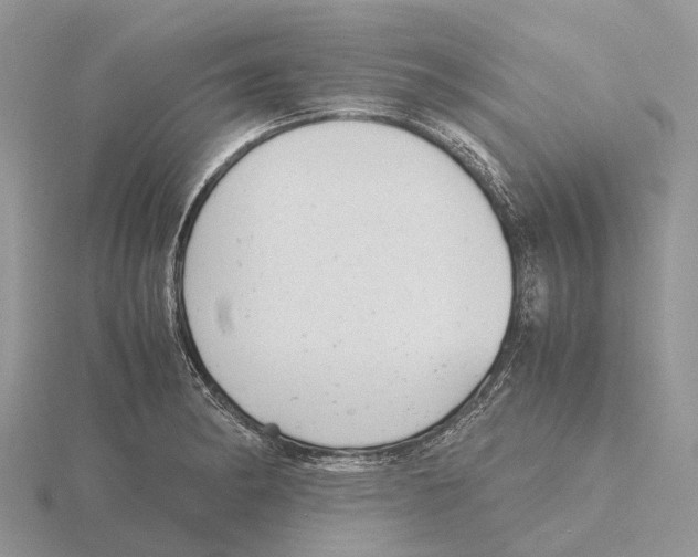 X0000115681182200912101127