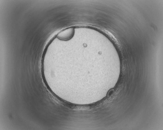 X0000115681183200912101127