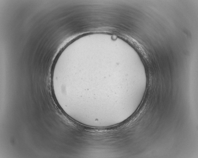 X0000115681184200912101127