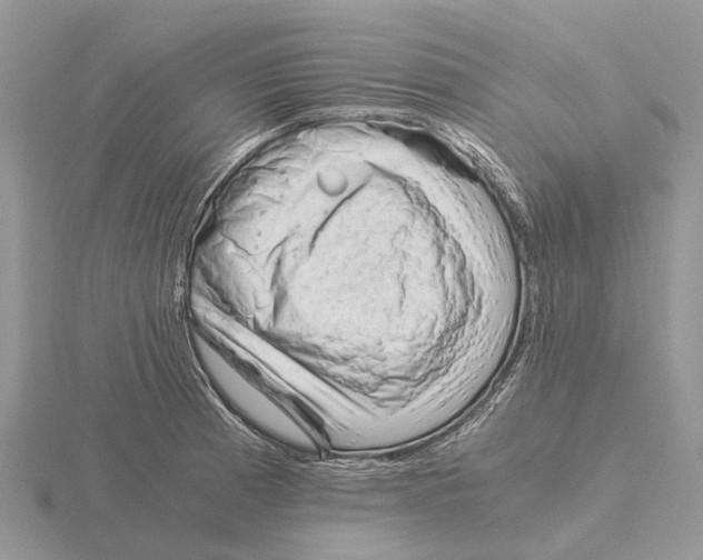 X0000115681185200912101127