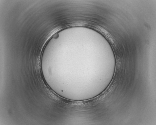 X0000115681186200912101127