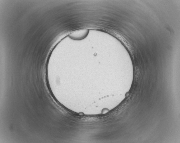 X0000115681187200912101127