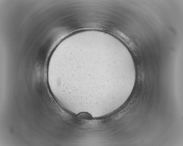 X0000115681188200912101127