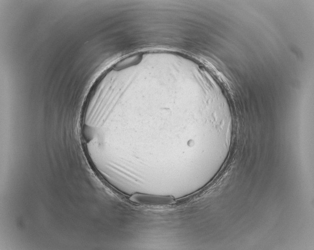 X0000115681189200912101127