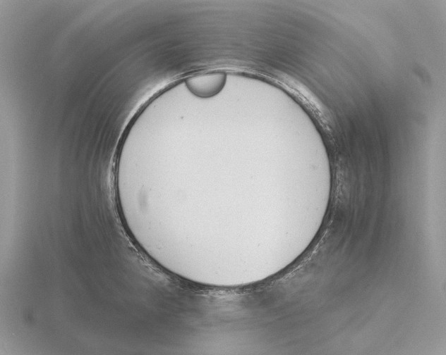 X0000115681190200912101127