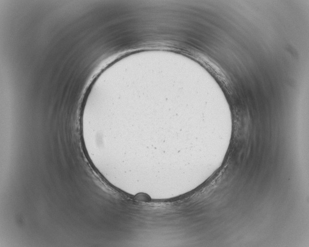 X0000115681192200912101127