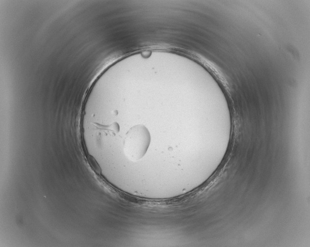 X0000115681194200912101127