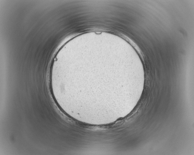 X0000115681195200912101127