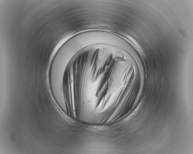 X0000115681196200912101127