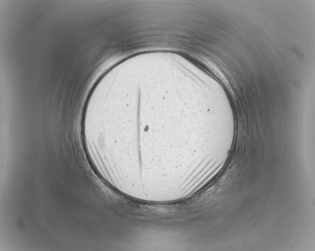 X0000115681197200912101127