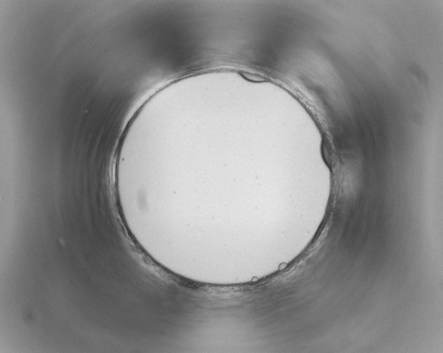 X0000115681198200912101127