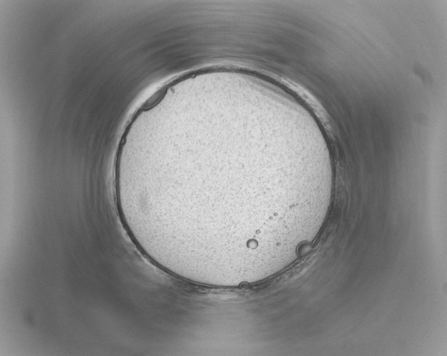 X0000115681199200912101127