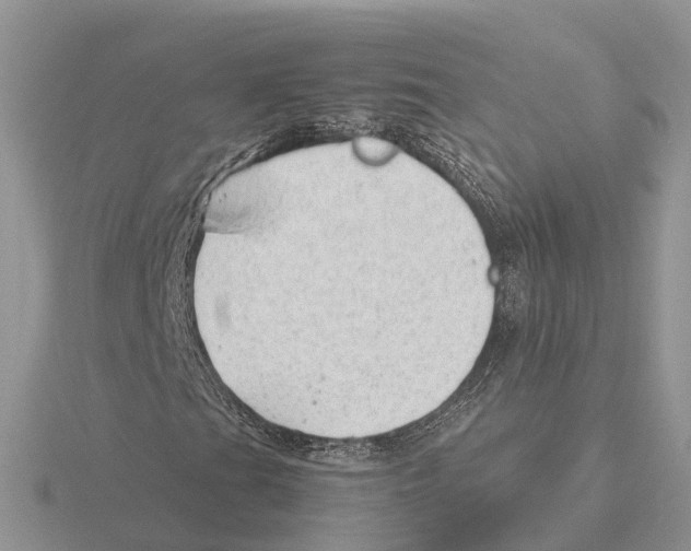 X0000115681201200912101126