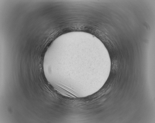 X0000115681202200912101126