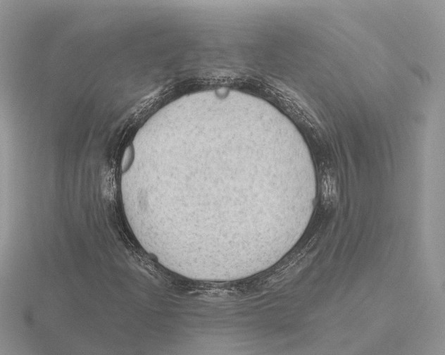 X0000115681204200912101126