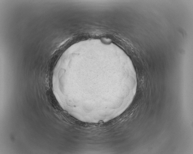 X0000115681205200912101126