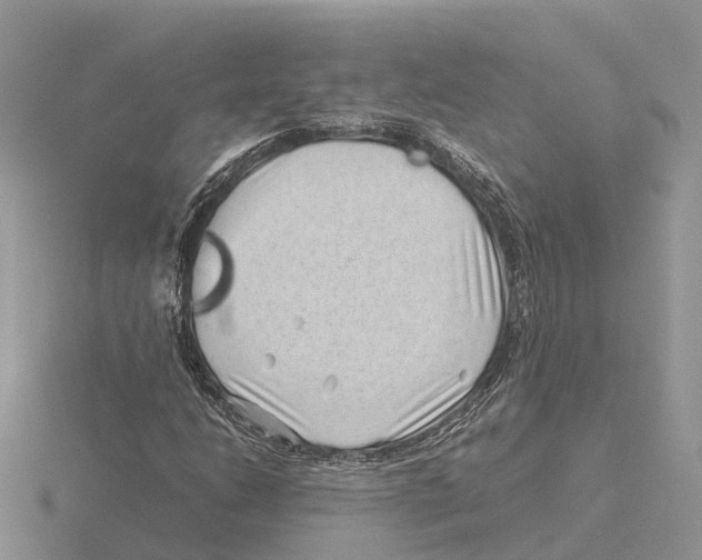 X0000115681206200912101126