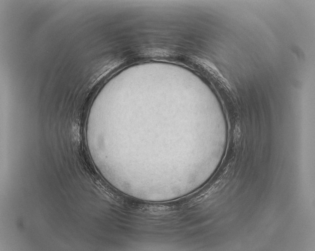 X0000115681209200912101126