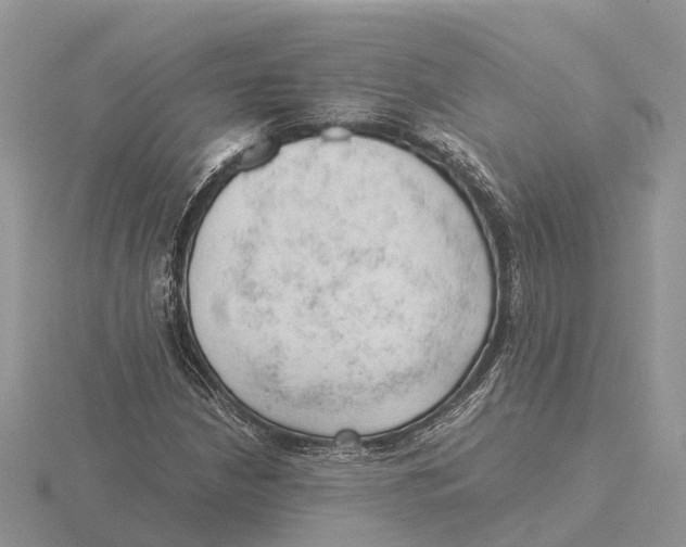 X0000115681210200912101126