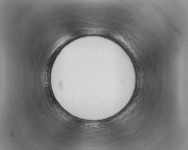 X0000115681211200912101126