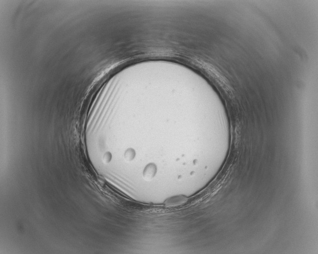 X0000115681212200912101126