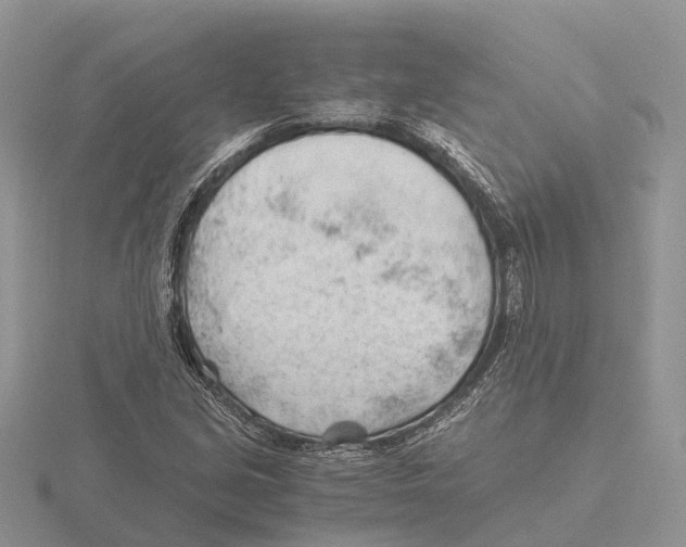 X0000115681213200912101126