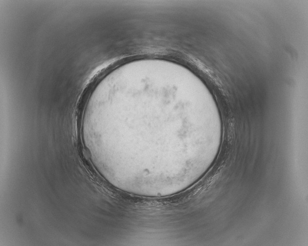 X0000115681214200912101126