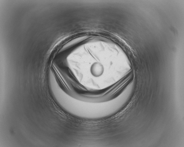 X0000115681215200912101126