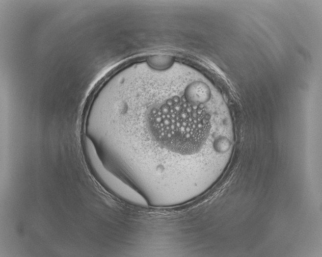 X0000115681216200912101126