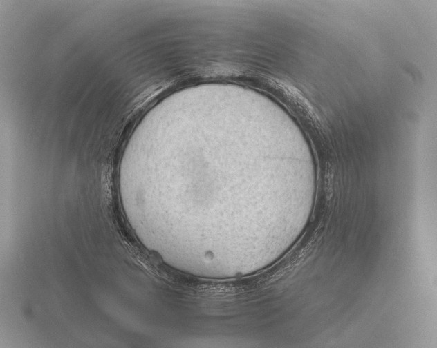 X0000115681217200912101126