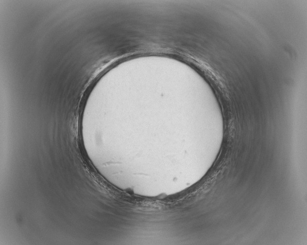 X0000115681220200912101126