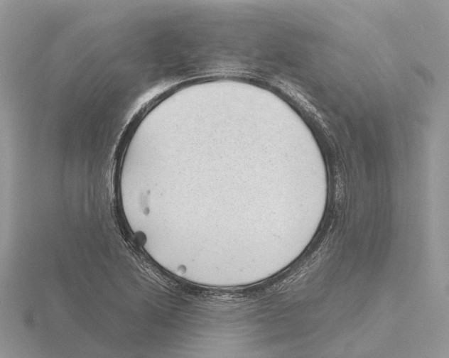 X0000115681222200912101126