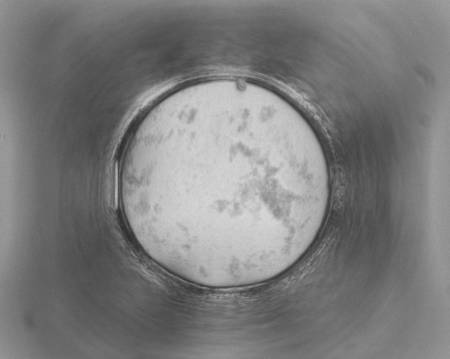 X0000115681223200912101126