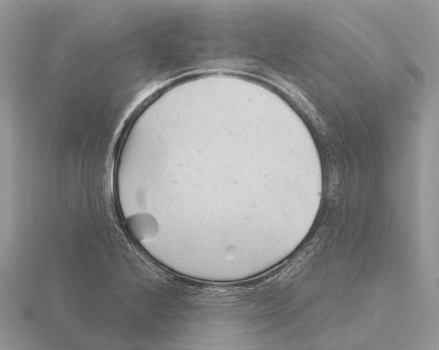 X0000115681224200912101126