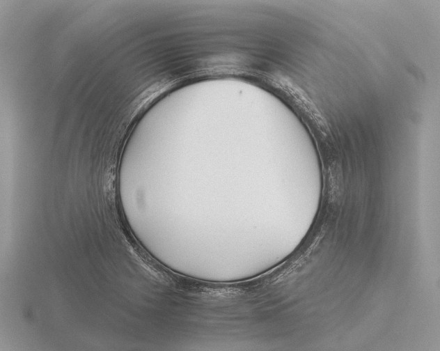 X0000115681225200912101126