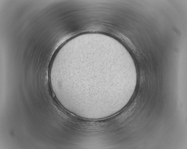 X0000115681226200912101126