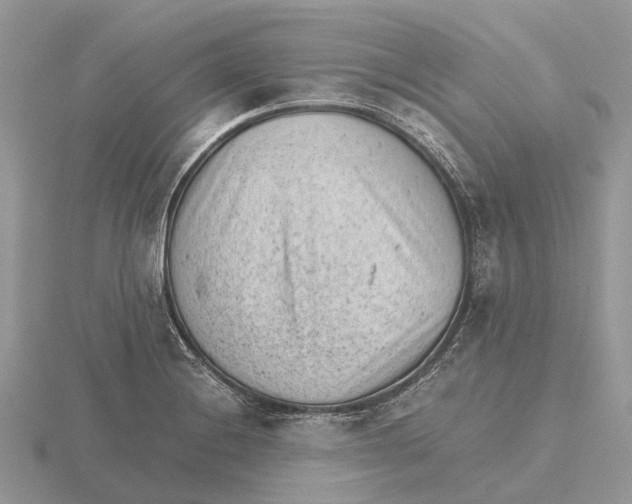 X0000115681228200912101126