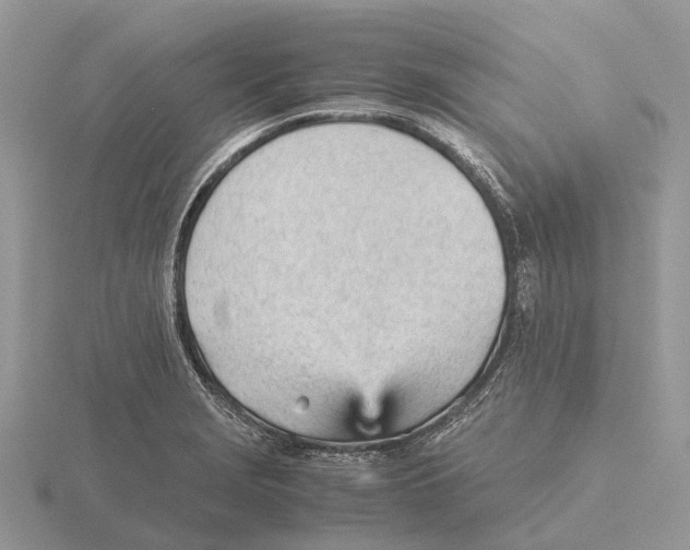 X0000115681229200912101126