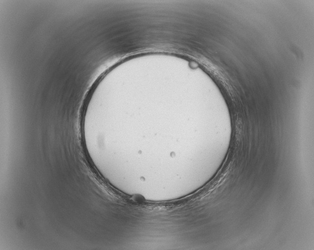 X0000115681230200912101126