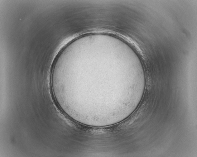 X0000115681231200912101126