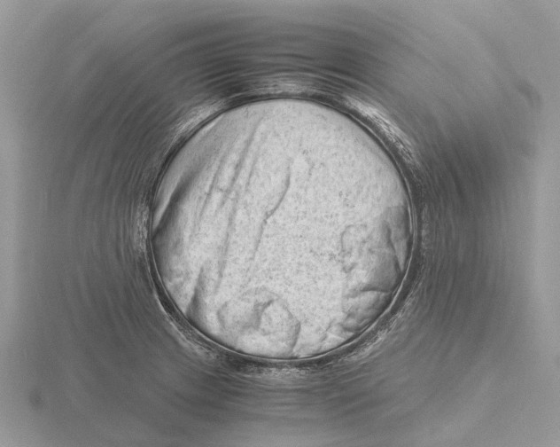 X0000115681233200912101126