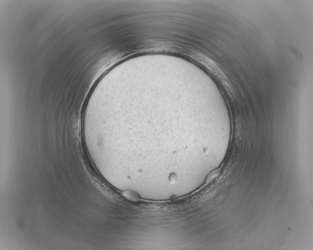 X0000115681234200912101126