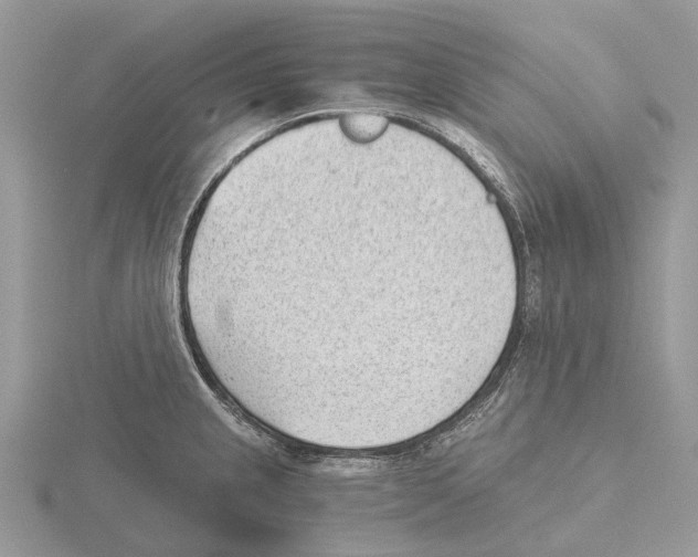 X0000115681237200912101126