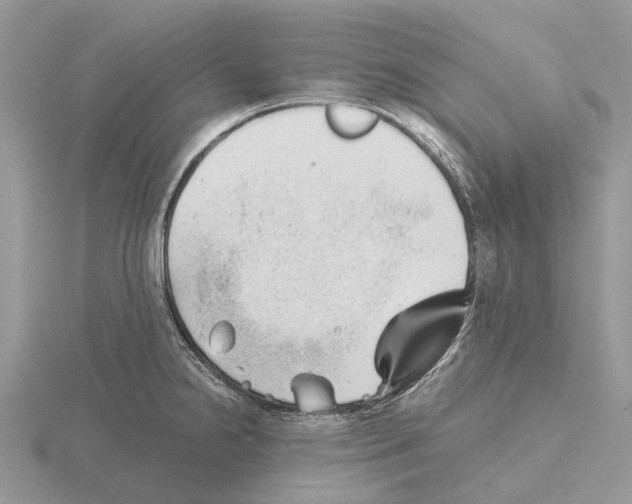 X0000115681238200912101126