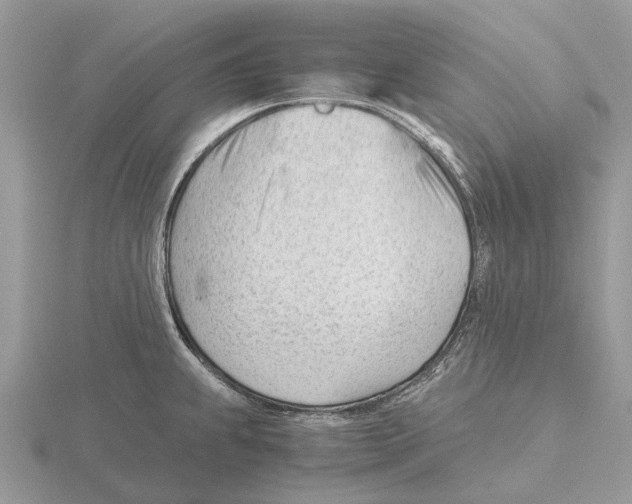 X0000115681239200912101126