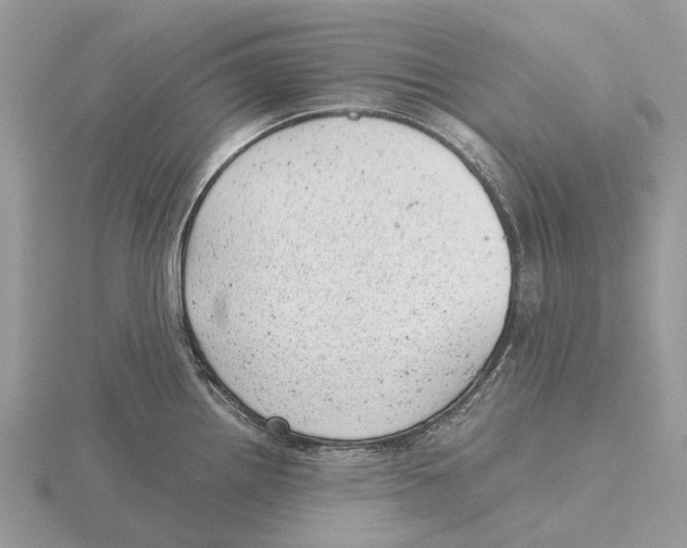 X0000115681242200912101127