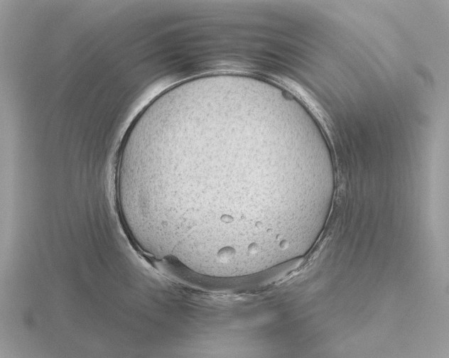 X0000115681243200912101127