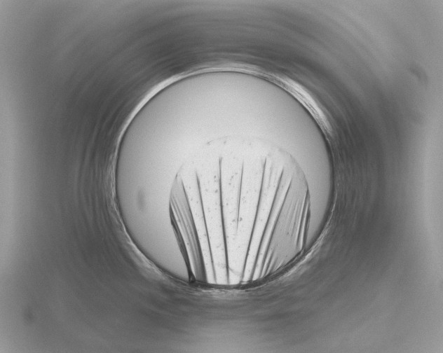 X0000115681244200912101127