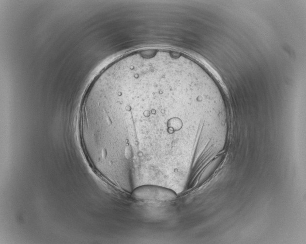 X0000115681245200912101127