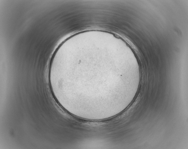 X0000115681246200912101127